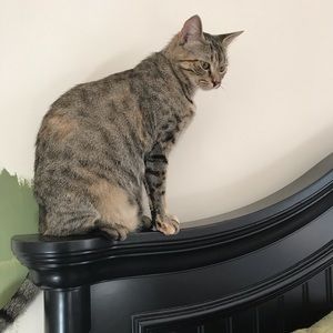 Meet your Posher, Tia